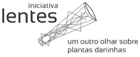 Imagem logo lentes